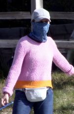 CALISTA FLOCKHART Wearing Bandana Mask Out with Her Dogs in Los Angeles 04/13/2020