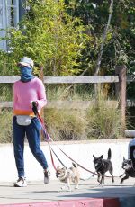 CALISTA FLOCKHART Wearing Bandana Mask Out with Her Dogs in Los Angeles 04/13/2020