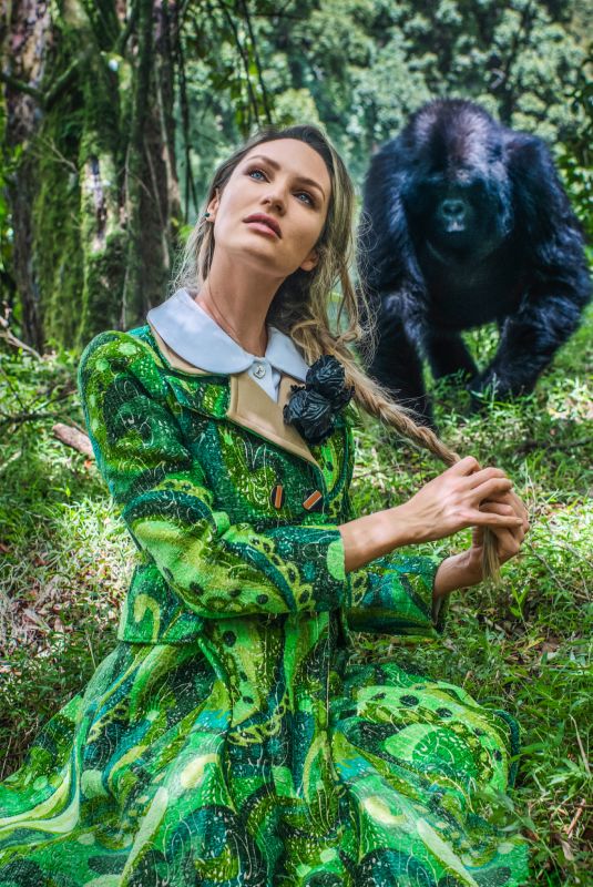 CANDICE SWANEPOEL in Harper