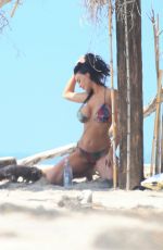 CHARLIE RIINA in Bikini for 138 Water at a Beach in Los Angeles 04/14/2020
