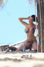 CHARLIE RIINA in Bikini for 138 Water at a Beach in Los Angeles 04/14/2020
