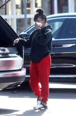 CHRISTINA MILIAN Wearing Mask Shopping at a Market in Los Angeles 04/04/2020