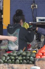 CHRISTINA MILIAN Wearing Mask Shopping at a Market in Los Angeles 04/04/2020