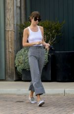DAKOTA JOHNSON Out and About in Malibu 04/25/2020