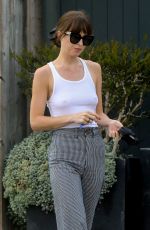 DAKOTA JOHNSON Out and About in Malibu 04/25/2020
