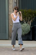 DAKOTA JOHNSON Out and About in Malibu 04/25/2020