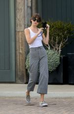 DAKOTA JOHNSON Out and About in Malibu 04/25/2020