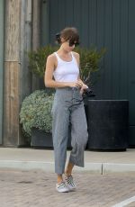 DAKOTA JOHNSON Out and About in Malibu 04/25/2020