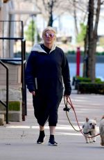 DEBORRA-LEE FURNESS Out with Her Dogs in New York 03/31/2020