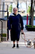 DEBORRA-LEE FURNESS Out with Her Dogs in New York 03/31/2020