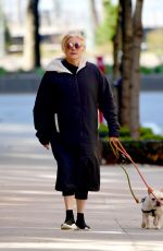 DEBORRA-LEE FURNESS Out with Her Dogs in New York 03/31/2020