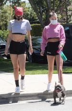 DELILAH and AMELIA HAMLIN Wearing Masks Out with Their Dog in Beverly Hills 04/21/2020