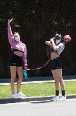 DELILAH and AMELIA HAMLIN Wearing Masks Out with Their Dog in Beverly Hills 04/21/2020