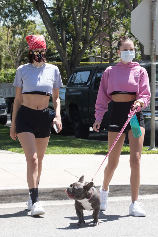 DELILAH and AMELIA HAMLIN Wearing Masks Out with Their Dog in Beverly Hills 04/21/2020