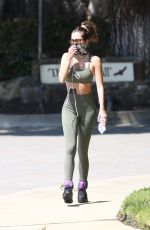 DELILAH HAMLIN Out Hikinig in Beverly Hills 04/11/2020