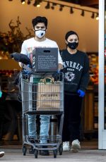 DEMI LOVATO and Max Ehrich Wearing Masks Shopping at Erewhon Organic Store in Los Angeles 04/04/2020