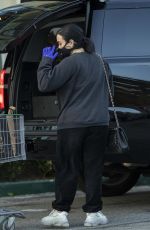 DEMI LOVATO and Max Ehrich Wearing Masks Shopping at Erewhon Organic Store in Los Angeles 04/04/2020
