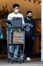DEMI LOVATO and Max Ehrich Wearing Masks Shopping at Erewhon Organic Store in Los Angeles 04/04/2020