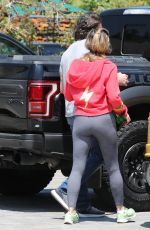 DENISE RICHARDS and Aaron Phyphers Wearing Masks Out Shopping in Malibu 04/28/2020