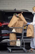 DIANE KRUGER Wearing Mask Out Shopping in Los Angeles 03/31/2020