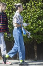 DUA LIPA and Anwar Hadid Out and About in London 04/11/2020
