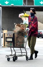 EIZA GONZALEZ Wearing Bandana Mask at Grocery Shopping in Los Angeles 04/06/2020
