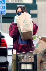 EIZA GONZALEZ Wearing Bandana Mask at Grocery Shopping in Los Angeles 04/06/2020
