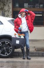 ELISABETTA CANALIS is Out in Hollywood 04/10/2020