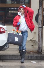 ELISABETTA CANALIS is Out in Hollywood 04/10/2020