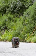 ELIZABETH BANKS Out with Her Dog in Hollywood Hills 04/07/2020