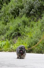 ELIZABETH BANKS Out with Her Dog in Hollywood Hills 04/07/2020