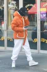EMILY RATAJKOWSKI Covers Up from Head to Toe Out in New York 04/04/2020