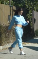 EMILY RATAJKOWSKI Out and About in Los Angeles 04/11/2020