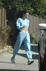 EMILY RATAJKOWSKI Out and About in Los Angeles 04/11/2020