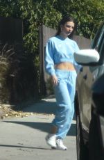 EMILY RATAJKOWSKI Out and About in Los Angeles 04/11/2020