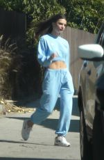 EMILY RATAJKOWSKI Out and About in Los Angeles 04/11/2020