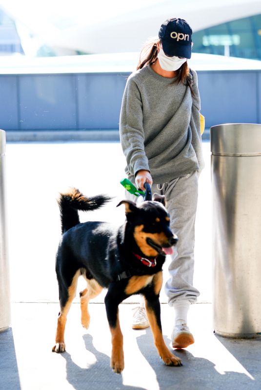 EMILY RATAJKOWSKI Wearing Mask with Her Dog at JFK Airport in New York 04/08/2020