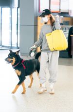 EMILY RATAJKOWSKI Wearing Mask with Her Dog at JFK Airport in New York 04/08/2020