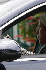 EMMA ROBERTS Driving Out in Los Angeles 04/13/2020