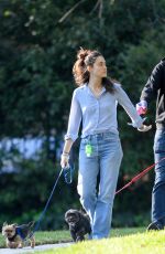 EMMY ROSSUM Out with Her Dogs in Los Angeles 04/01/2020