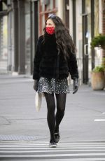 FAMKE JANSSEN Out and About in New York 04/16/2020