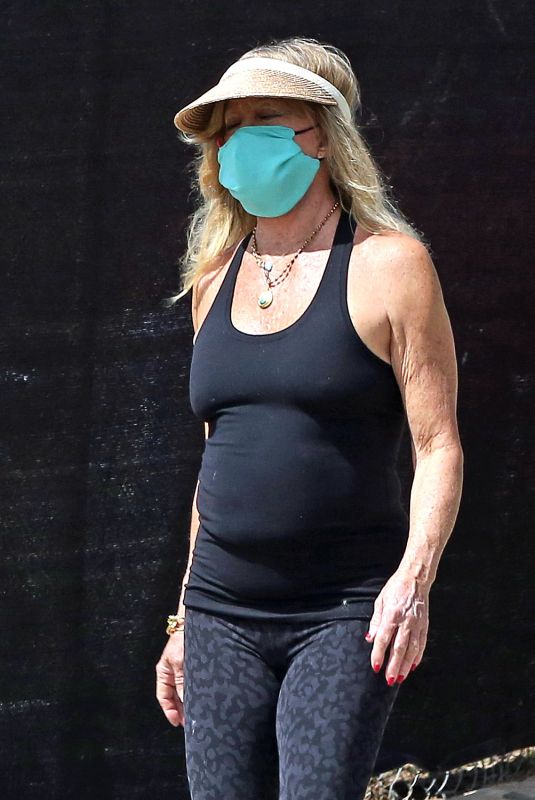 GOLDIE HAWN Wearing a Mask Out in Los Angeles 04/07/2020