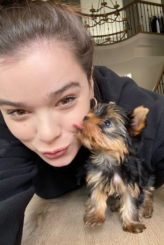 HAILEE STEINFELD for Rolling Stone