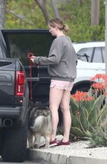 IRELAND BALDWIN at a Dog Park in Los Angeles 04/12/2020