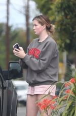 IRELAND BALDWIN at a Dog Park in Los Angeles 04/12/2020