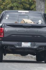 IRELAND BALDWIN at a Dog Park in Los Angeles 04/12/2020