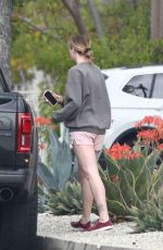 IRELAND BALDWIN at a Dog Park in Los Angeles 04/12/2020