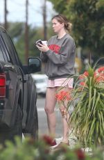 IRELAND BALDWIN at a Dog Park in Los Angeles 04/12/2020