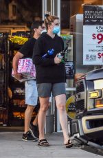 IRELAND BALDWIN Out Shopping in Los Angeles 04/23/2020