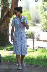 JORDANA BREWSTER Out and About in Los Angeles 04/26/2020